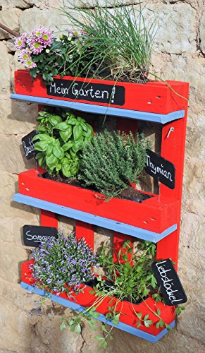 Kräuterregal für drinnen und draußen